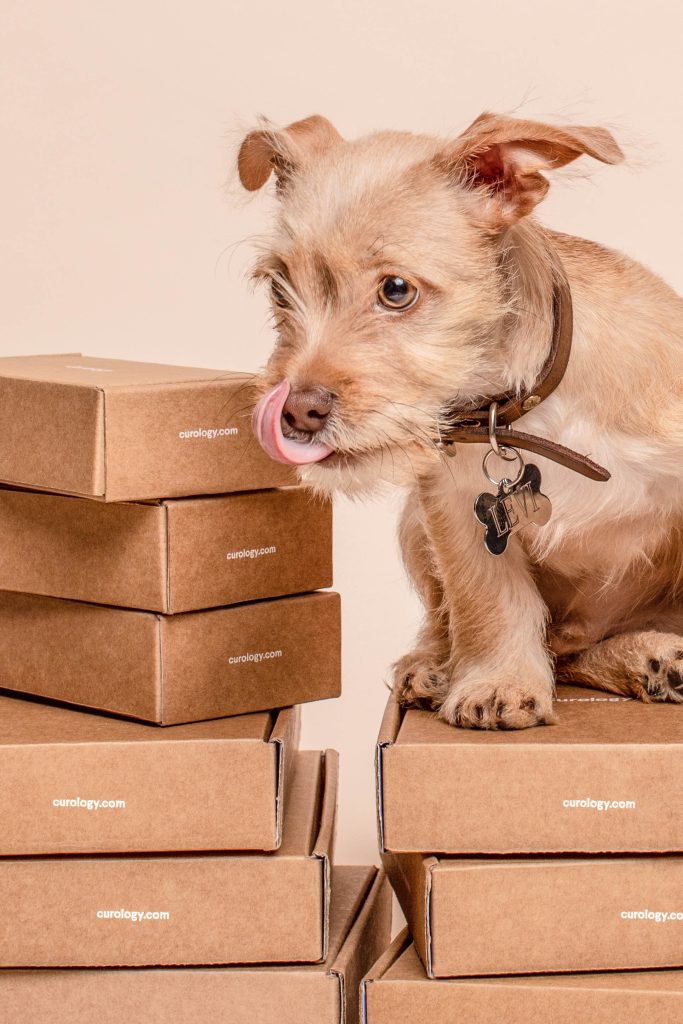 CAJA MASCOTAS CARTAGENA
